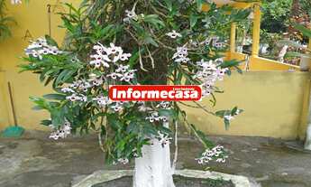 Imagem 2: SITIO EM TINGUA COM 2.000 M² , Parque Estoril. O sitio e composto por casa principal, co