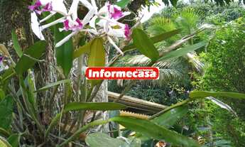 Imagem 3: SITIO EM TINGUA COM 2.000 M² , Parque Estoril. O sitio e composto por casa principal, co