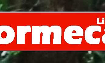 Imagem 4: SITIO COM 70 MIL M² COM RGI PERTO DO ARCO METROPOLITANO, BAIRRO PEDRA LISA EM JAPERI. in