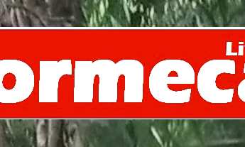 Imagem: SITIO COM 70 MIL M² COM RGI PERTO DO ARCO