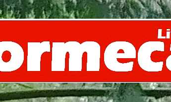 Imagem 2: SITIO COM 70 MIL M² COM RGI PERTO DO ARCO METROPOLITANO, BAIRRO PEDRA LISA EM JAPERI. in