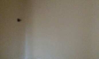 Imagem 2: 2 dormitórios, 1 suítes, 1 banheiros, 43M² de Área Construída, 43M² de Área Total