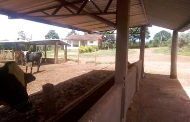 Imagem 6: FAZENDA RURAL em IBIRACI - MG, ZONA RURAL