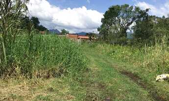 Imagem 6: 300M² de Área Total na Rua Aymoré Dos Santos Mattos