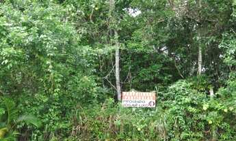 Imagem 2: Terrenos com 300m2 - bairro Nova Cananéia em Cananéia/SP