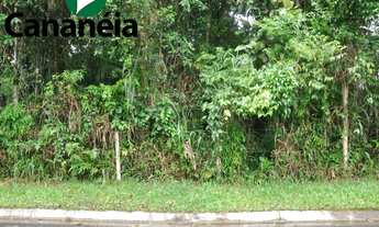 Imagem 4: Terrenos com 300m2 - bairro Nova Cananéia em Cananéia/SP