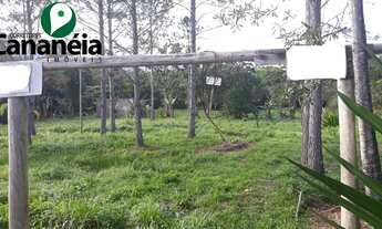 Imagem: Sítio com 78.448 m2 sendo 100m de frente