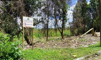 Imagem 5: 1556M² de Área Total na Rua Clodoveu José De Lima