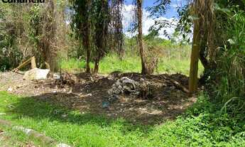 Imagem 4: 1556M² de Área Total na Rua Clodoveu José De Lima