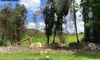 Imagem 7: 1556M² de Área Total na Rua Clodoveu José De Lima