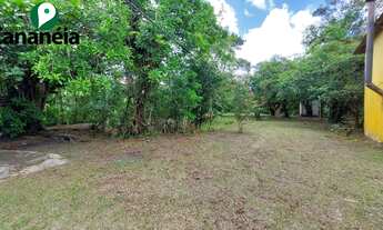 Imagem 4: Sítio com 4,5 alqueires no bairro Itapitangui - Cananéia - Litoral Sul de SP