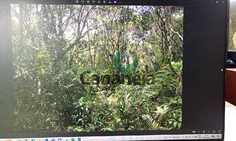 Imagem 2: Terreno com 315 m2 com licenciamento ambiental no Retiro das Caravelas - Cananéia SP