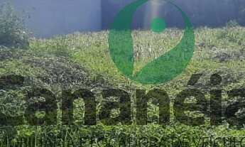 Imagem 4: Terreno 450 m2 para venda no Retiro das Caravelas - Cananéia/SP