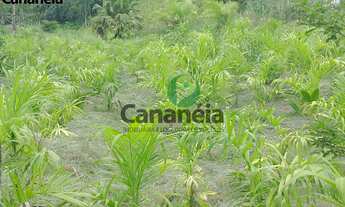 Imagem: Sítio 4 alqueires - para arrendamento