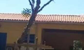 Imagem: Refúgio em paraíso ecológico disponível