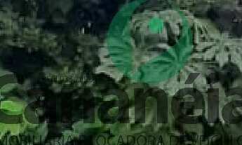 Imagem 4: Terreno 450 m2 no Retiro das Caravelas - Cananéia / SP