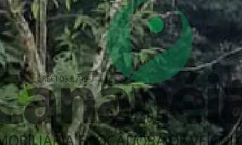 Imagem 3: Terreno 450 m2 no Retiro das Caravelas - Cananéia / SP