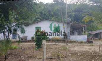 Imagem 6: Sítio 4 alqueires - para arrendamento - Bairro Ex-Colônia - Cananéia Litoral Sul de SP