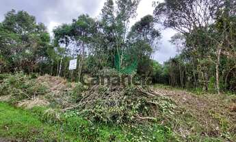 Imagem 7: Terreno 450,00 m² no Retiro das Caravelas - Cananéia - Litoral Sul de SP