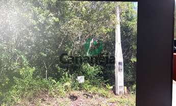 Imagem: Terreno com 315 m2 com licenciamento ambiental