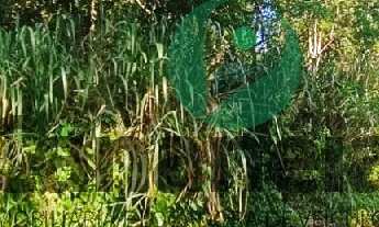 Imagem: TERRENOS COM 140m² CADA, LOCALIZADOS NO