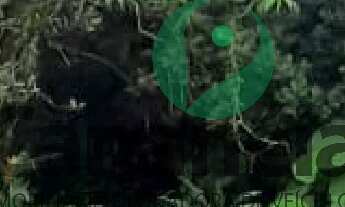 Imagem 6: Terreno 450 m2 no Retiro das Caravelas - Cananéia / SP