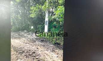 Imagem 3: Terreno com 315 m2 com licenciamento ambiental no Retiro das Caravelas - Cananéia SP