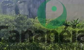 Imagem 2: Terreno 450 m2 para venda no Retiro das Caravelas - Cananéia/SP