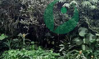 Imagem 2: Terreno 450 m2 no Retiro das Caravelas - Cananéia / SP