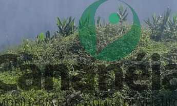 Imagem 3: Terreno 450 m2 para venda no Retiro das Caravelas - Cananéia/SP