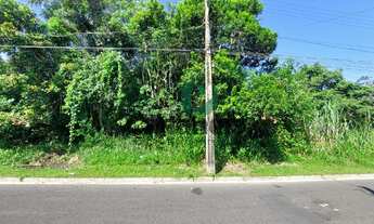 Imagem 2: Terreno com 4.165 m² para venda - Rua João Izídio de Camargo - Vila Cabana - Cananéia, Lit