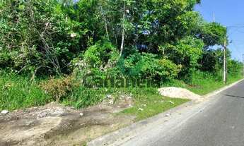 Imagem 6: Terreno com 4.165 m² para venda - Rua João Izídio de Camargo - Vila Cabana - Cananéia, Lit