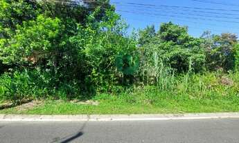 Imagem 4: Terreno com 4.165 m² para venda - Rua João Izídio de Camargo - Vila Cabana - Cananéia, Lit