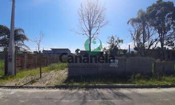 Imagem: Terreno de 250,00 m² com muro e edícula