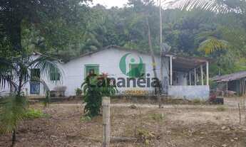 Imagem 5: Sítio 4 alqueires - Bairro Ex-Colônia - Cananéia Litoral Sul de SP