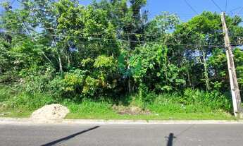 Imagem 5: Terreno com 4.165 m² para venda - Rua João Izídio de Camargo - Vila Cabana - Cananéia, Lit