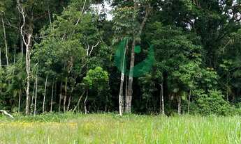 Imagem 2: Terreno para venda com 380,88m² no Reserva da Mata - Cananéia/SP