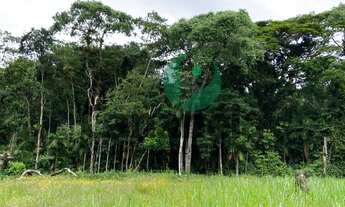 Imagem 1: Terreno para venda com 380,88m² no Reserva da Mata - Cananéia/SP