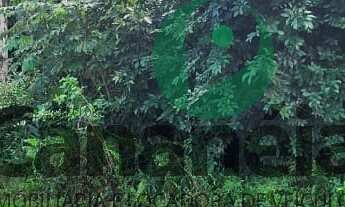 Imagem 6: Terreno para venda no Retiro das Caravelas - Cananéia - SP