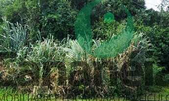 Imagem 3: Terreno para venda no Retiro das Caravelas - Cananéia - SP