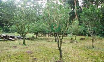 Imagem 5: Sítio à venda em Cananéia-SP, Bairro Rural, com 700.000m² de área: uma oportunidade imperd