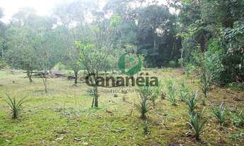 Imagem 3: Sítio à venda em Cananéia-SP, Bairro Rural, com 700.000m² de área: uma oportunidade imperd