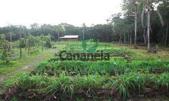 Imagem 2: Sítio à venda em Cananéia-SP, Bairro Rural, com 700.000m² de área: uma oportunidade imperd