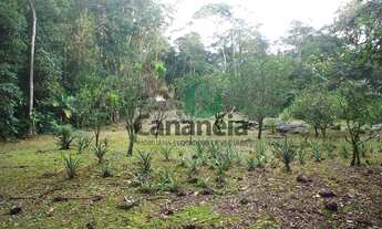 Imagem 6: Sítio à venda em Cananéia-SP, Bairro Rural, com 700.000m² de área: uma oportunidade imperd