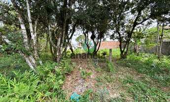 Imagem 3: Terreno à venda em Cananéia-SP, bairro Acaraú, com 300,00 m²