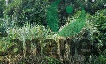 Imagem: Terreno para venda no Retiro das Caravelas