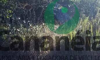 Imagem 5: Sítio com 12.5 alqueires para venda com 2 casas (1 uma muito boa), rio - na estrada do Ari