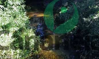 Imagem: Sítio com 12.5 alqueires para venda - Itapitangui