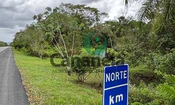 Imagem 4: Sítio à venda em Cananéia-SP, Iririaia, com 39,8 hectares!