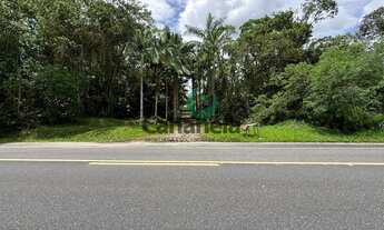 Imagem 4: Sítio à venda em Cananéia-SP, no bairro Iririaia, com 16,4 hectares